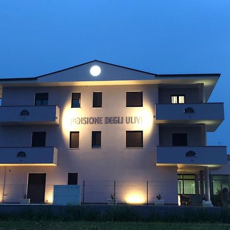 Pensione Degli Ulivi Porto Sant'Elpidio Exterior photo