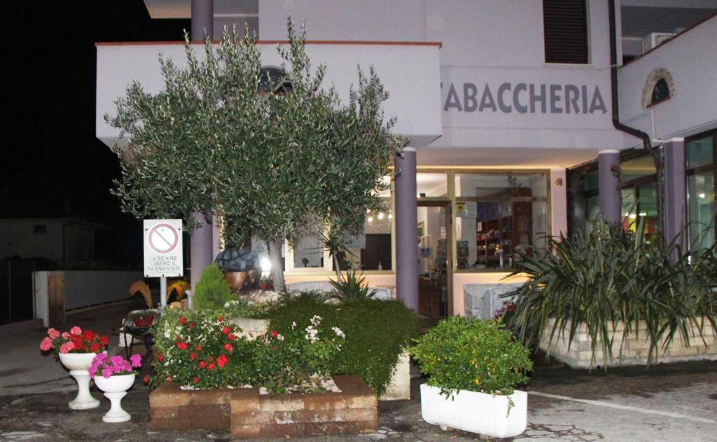 Pensione Degli Ulivi Porto Sant'Elpidio Exterior photo