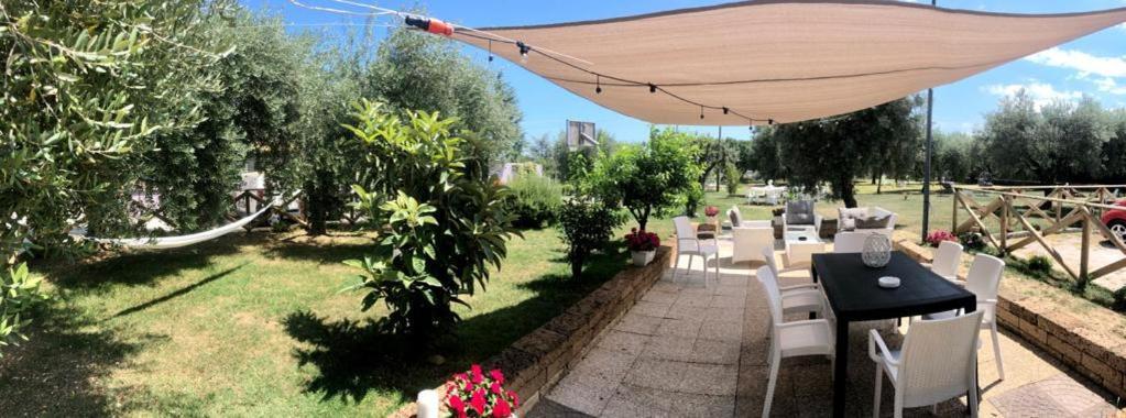 Pensione Degli Ulivi Porto Sant'Elpidio Exterior photo